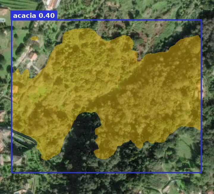 Satellite tile near a village with an acacia patch outlined
